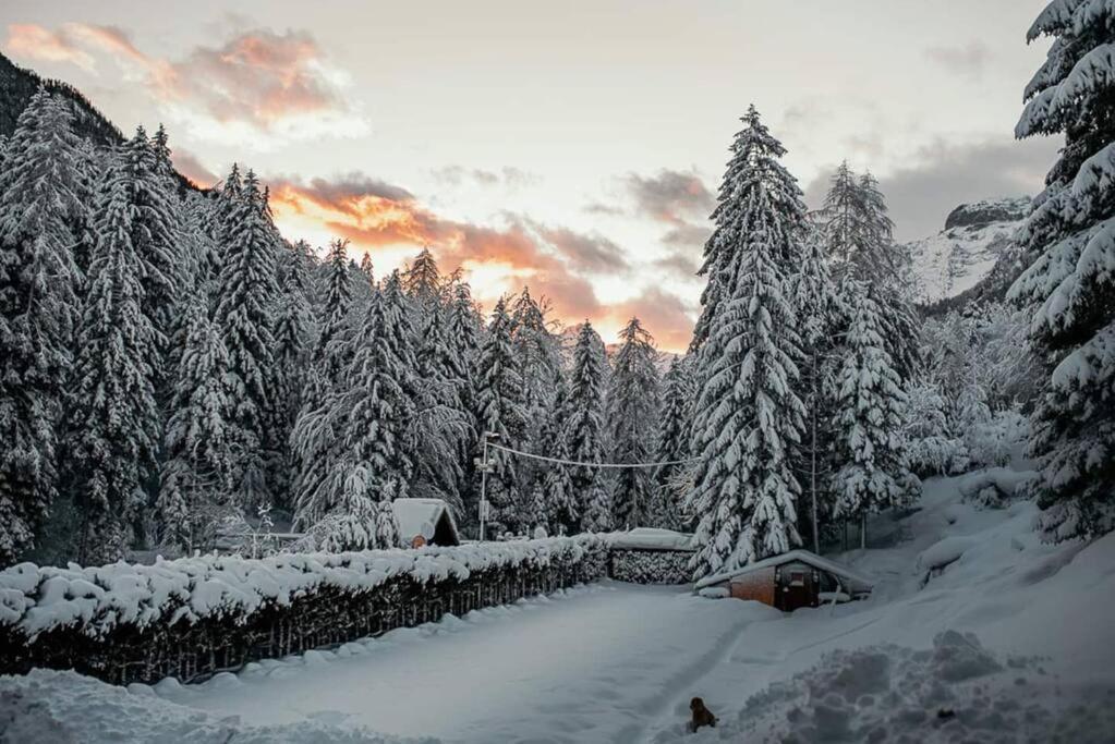 Idyllic Triglav Forest Retreat - Alps, Trails, Lakes, Falls Mojstrana Bagian luar foto