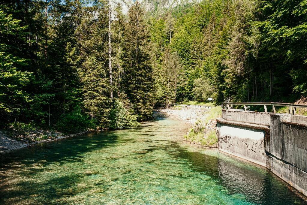 Idyllic Triglav Forest Retreat - Alps, Trails, Lakes, Falls Mojstrana Bagian luar foto